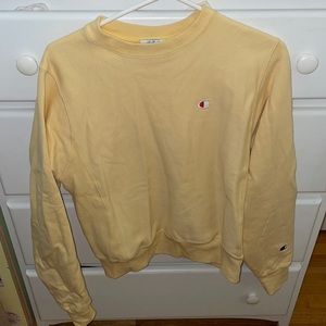 Urban outfitters champion crew neck